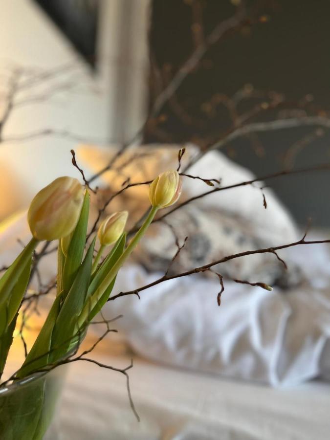 Froejel Resort & Spa מראה חיצוני תמונה